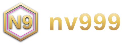 nv999 logo